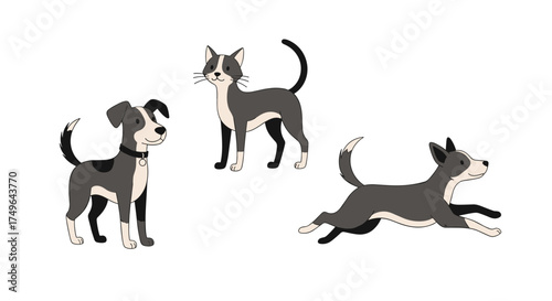 Three playful dogs in various poses on a white background.
