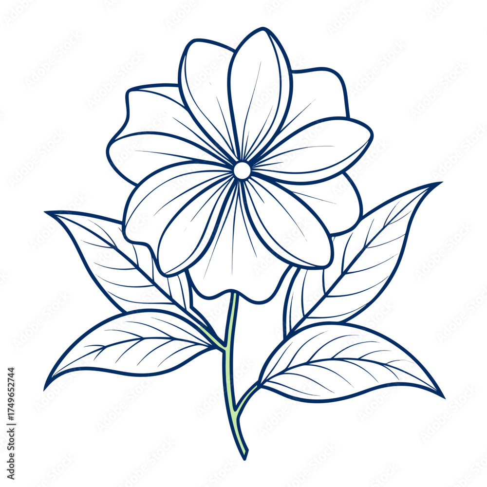 Obraz premium eadwort-plumbago line art on white background