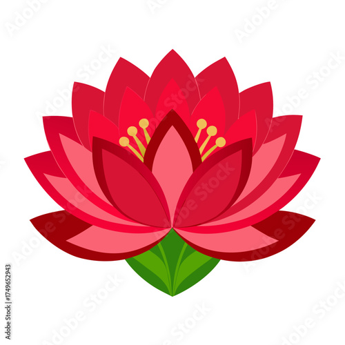 lotus red on white background