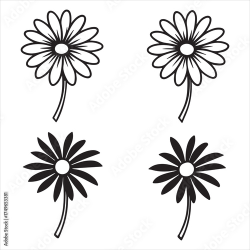 A Delicate Closeup of the Daisy Like Chamomile Flower, Symbolic of Natural Medicine and Calming Relaxation, the Essential Botanical Herb for Soothing Herbal Tea Wellness.