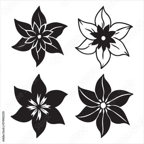 A Vibrant Closeup of a Star Shaped Clematis Flower, a Classic English Garden Perennial Climbing Vine, Ideal for Trellis Vertical Garden Decoration with Large Bloom Beauty.
