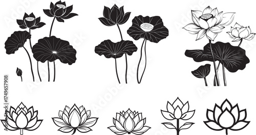 Lotus flowers in black and white, with various styles and orientations.