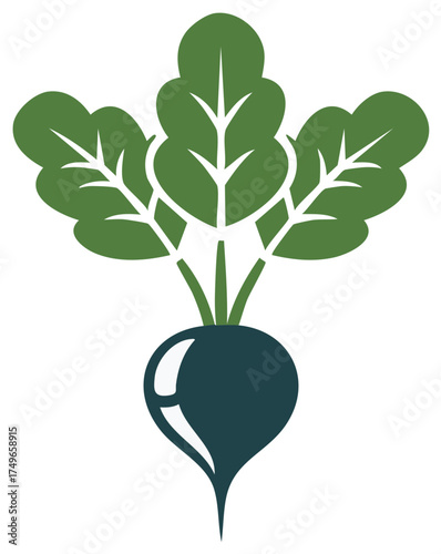 Stylized Beetroot Illustration with Green Leaves, Root Vegetable Icon for Organic Produce and Healthy Food