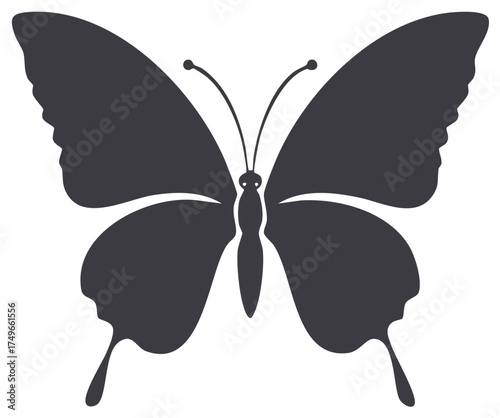 Elegant dark grey butterfly silhouette with intricate wings and antennae icon vector art