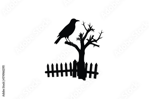 A solitary crow perched on a bare branch against a dark background