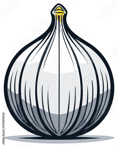 Fresh Garlic Bulb Vector Illustration Clean Design Healthy Food Ingredient