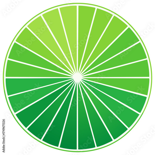 Abstract green color wheel radial segments vibrant fresh lime hues