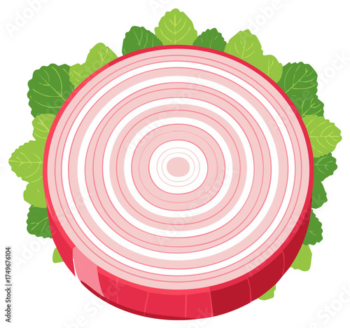 Cross section of a red onion with green leaves forming a decorative border