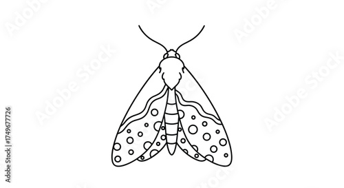 Detailed outline of a moth with patterned wings