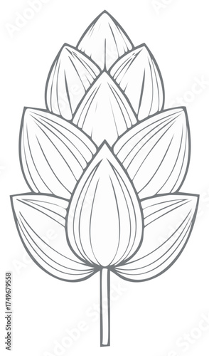 Detailed Hop Cone Illustration Brewing Ingredient Design Element for Branding