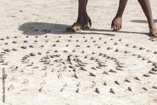 Papier peint Human hands arranging  seashells at the beach in watamu Beach in Kenya