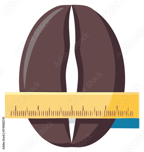 Coffee bean measured by a ruler illustrating size quality control and grading concepts