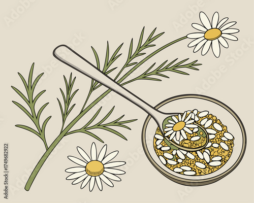 Dried Chamomile Flowers — Herbal Tea Ingredients