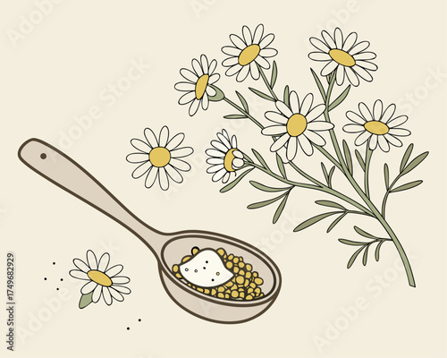 Dried Chamomile Flowers — Herbal Tea Ingredients