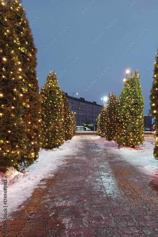custom made wallpaper toronto digitalSnow dusted path lined with illuminated Christmas trees and warm festive lights at dusk in city