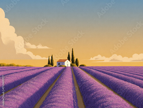 Lavender Field Sunset, bokeh.