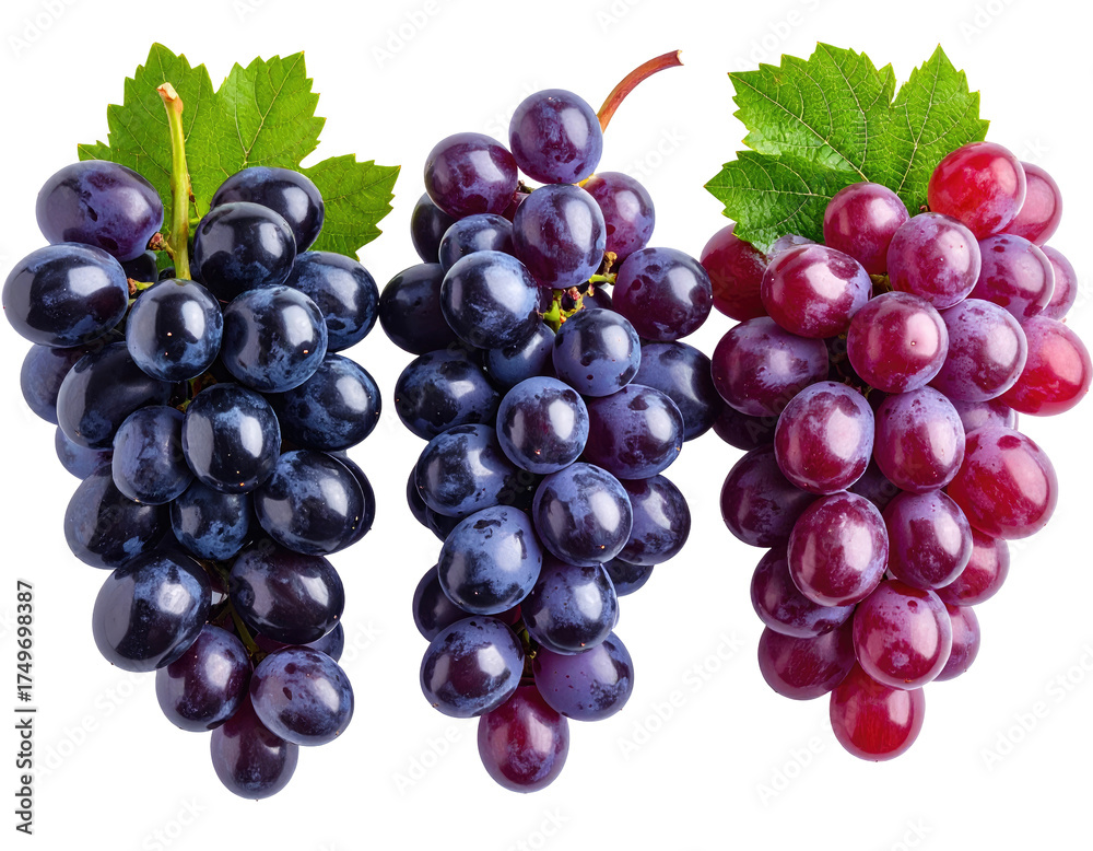 Fototapeta premium Three bunches of grapes, deep purple and red