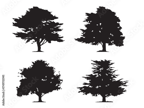 Evergreen Cedar Tree Silhouettes in Elegant 2D Vector Line Art