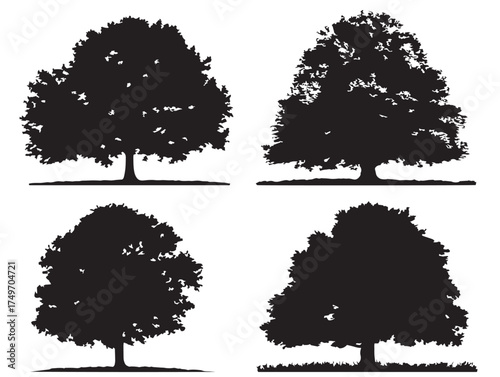 Artistic Chestnut Tree Silhouette Design in Elegant 2D Vector Line Art