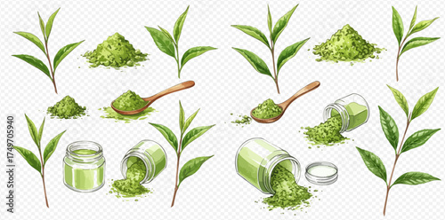 Realistic vector illustration set of fresh green tea leaves and matcha powder in piles, wooden spoons, and glass jars, showcasing natural healthy ingredients.