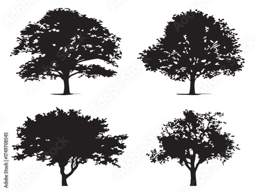 Minimalist Elm Tree Outline Collection in Artistic 2D Vector Line Art