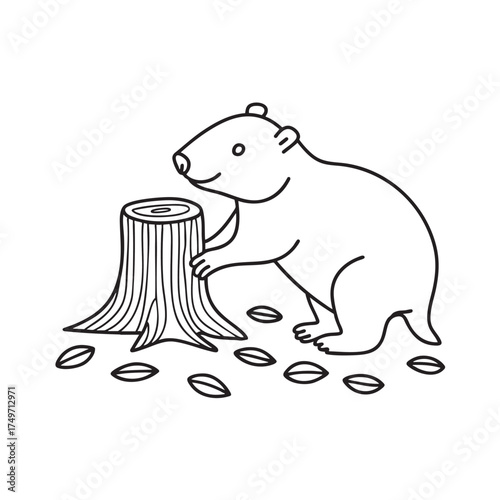 A wombat close to a tree stump with scattered leaves