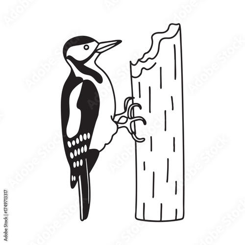 A woodpecker beside a patch of bark peeling off