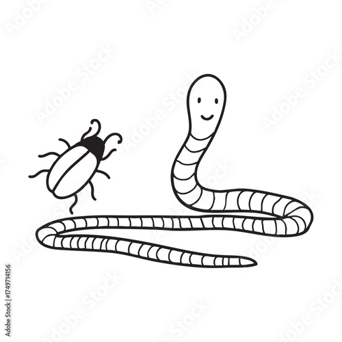 A worm near a beetle crawling nearby