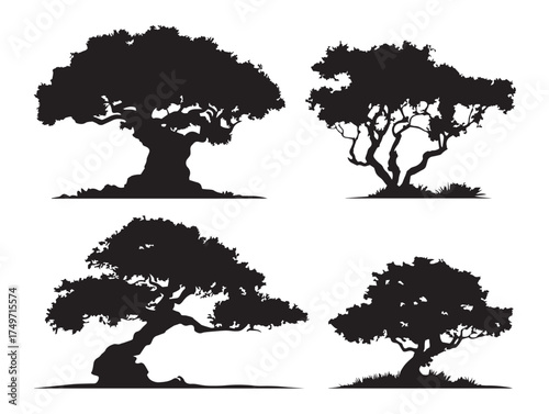 Hollow Tree Silhouette Design in Creative 2D Vector Line Art Form
