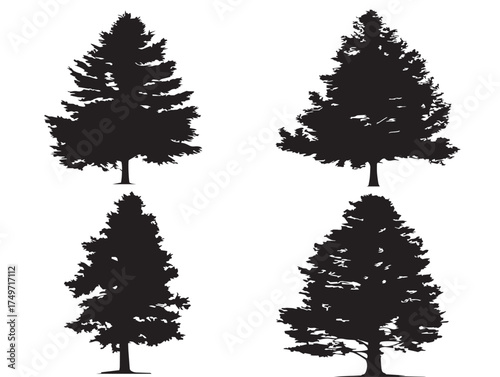 Forest Larch Tree Silhouette Depicted in Beautiful 2D Vector Line Art