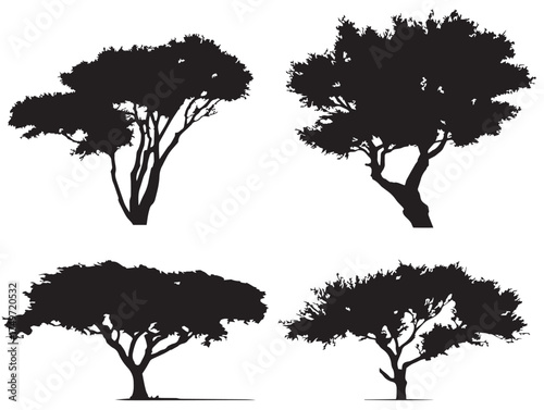 Desert Mesquite Tree Silhouette Symbol of Strength 2D Vector Line Art