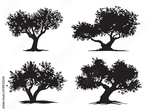 Olive Tree Silhouette Representing Peaceful Harmony 2D Vector Line Art