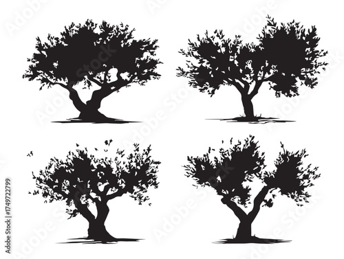 Beautiful Olive Tree Silhouette in Natural Form 2D Vector Line Art
