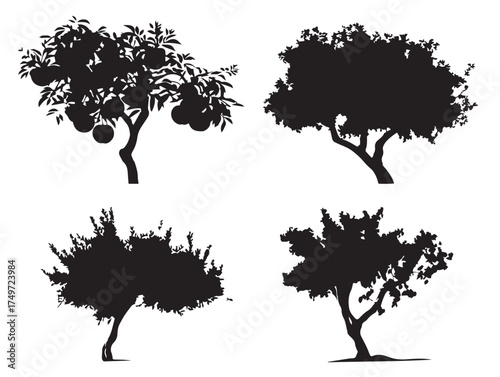 Fruitful Peach Tree Silhouette for Botanical Design 2D Vector Line Art