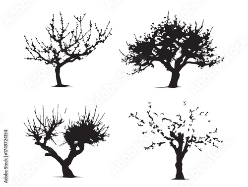Delicate Peach Tree Silhouette in Bloom 2D Vector Line Art
