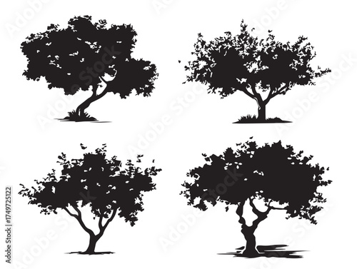 Plum Tree Silhouette Representing Natural Harmony 2D Vector Line Art