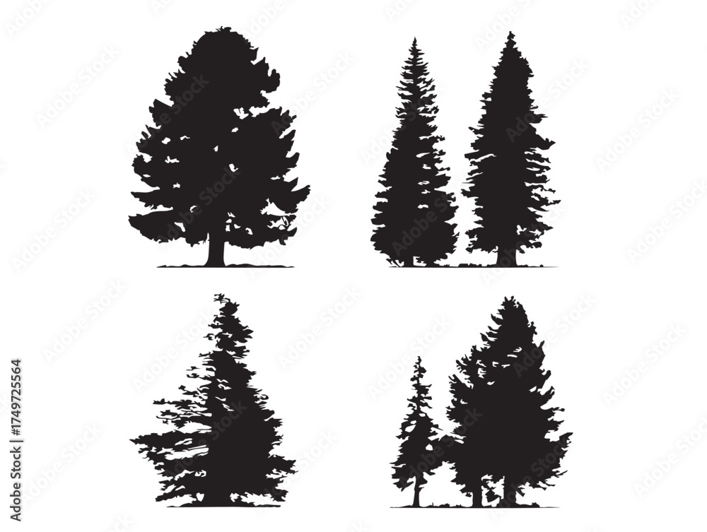 Fototapeta premium Majestic Redwood Tree Silhouette with Fine Details 2D Vector Line Art