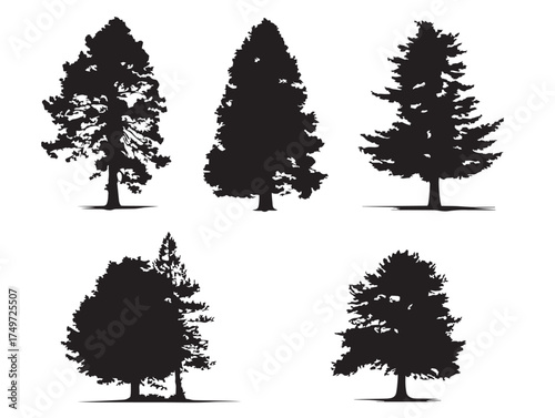 Towering Redwood Tree Silhouette for Forest Theme 2D Vector Line Art