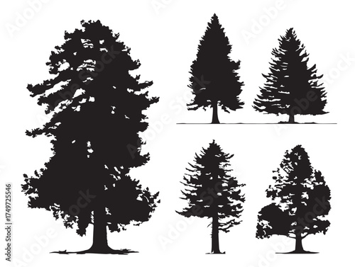 Grand Redwood Tree Silhouette for Vintage Design 2D Vector Line Art