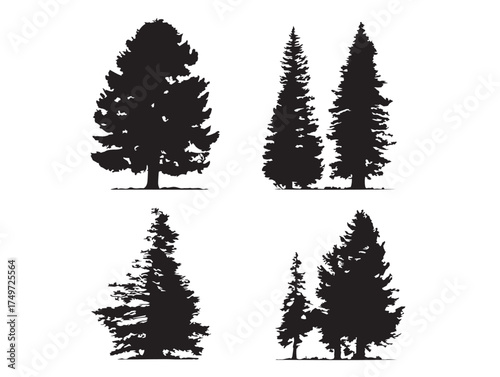 Majestic Redwood Tree Silhouette with Fine Details 2D Vector Line Art