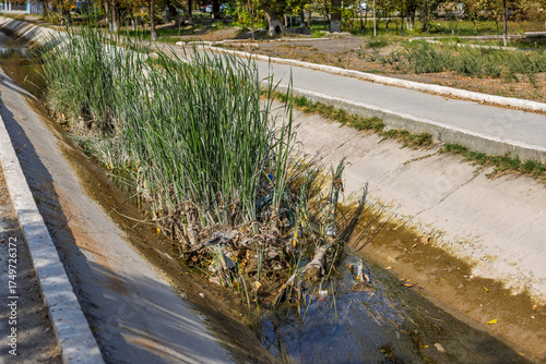 The Shahrud aryk water canal in Bukhara, Uzbekistan, overgrown with marsh grass.