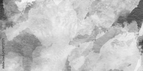 Abstract ink grunge art black paint stroke texture, black and white watercolor texture  background, colored cloud. colorful dust explode paint holi, light gray art background for design.