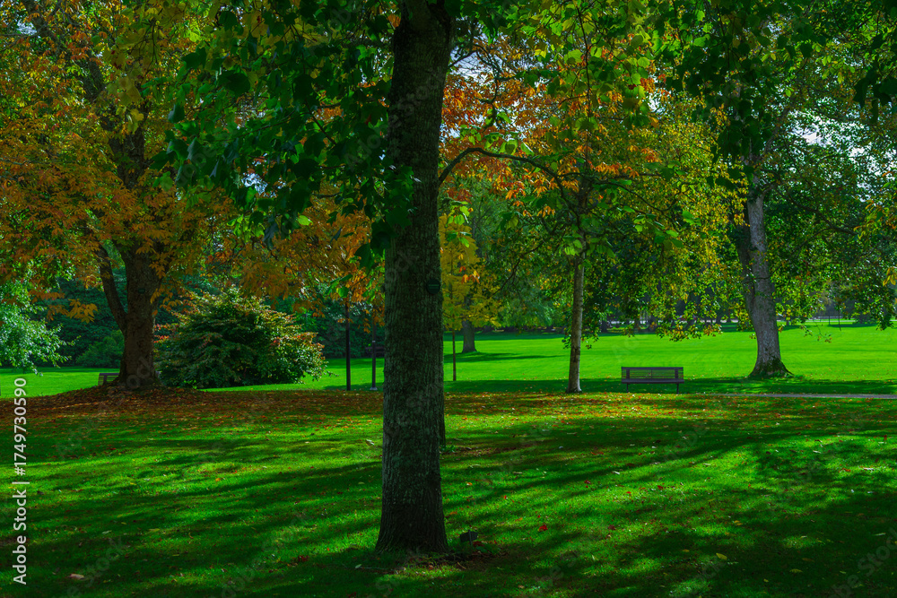 Naklejka premium Scenic Autumn Park with Bright Trees