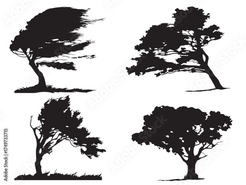 Konstfotografi Windswept Tree Natural Silhouette 2D Vector Line Art Design