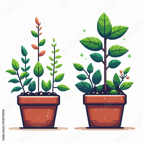 Two cartoonish potted plants with green and reddish leaves, one larger and one with multiple smaller plants, on a white background.