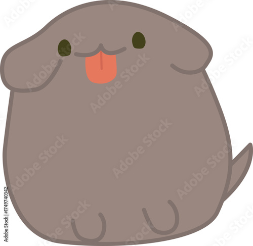 Cute Puppy