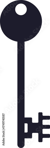 Skeleton key silhouette vector representing security access