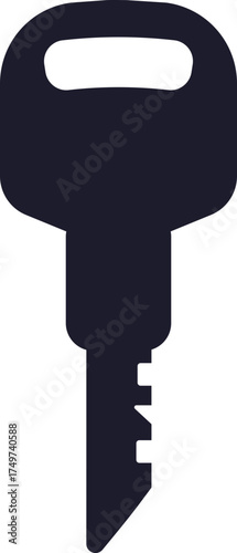 Key silhouette representing security access and solution