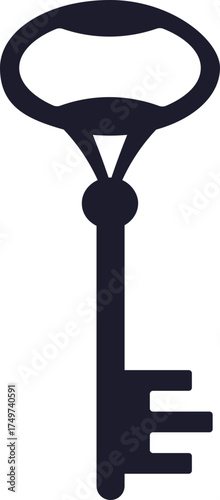 Skeleton key silhouette representing solution, access, and security