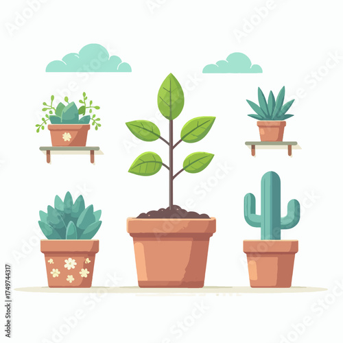 A collection of potted plants, including a tall leafy plant, succulents, and a cactus, set against a white background with clouds above.
